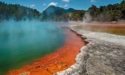 NGÀY 05: ROTORUA - MATAMATA