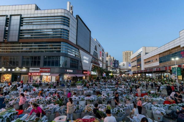 huyện tự trị dân tộc Di Thạch Lâm