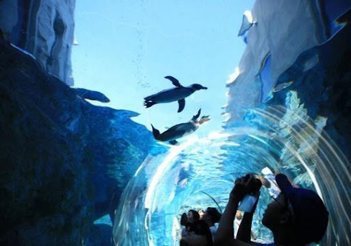 Ngày 2: TOKYO - ASAHIKAWA