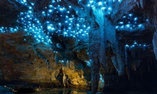 Auckland - Waitomo - Taupo