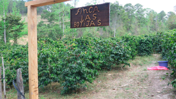 Trang trại Finca Las Botica của Abel Giron