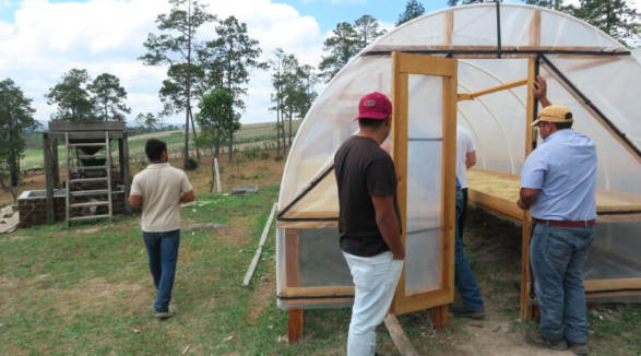 Khu vực các giàn phơi của trang trại