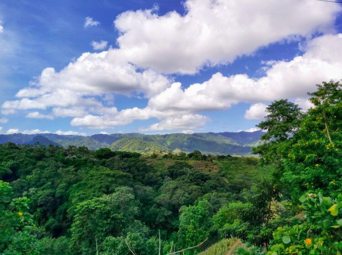 Hình ảnh vùng trồng cà phê tại Nicaragua 