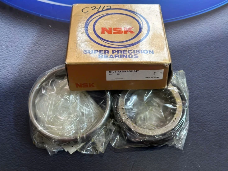 Vòng bi - bạc đạn N1011RXTPKRCC1P4Y