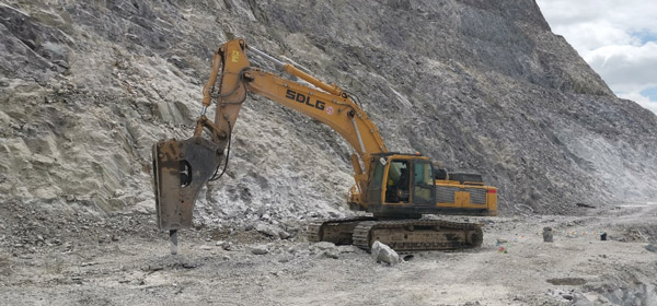 SDLG-GIA-NHAP-THI-TRUONG-MONG-CO