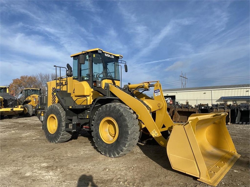 SDLG-GIA-NHAP-THI-TRUONG-MONG-CO