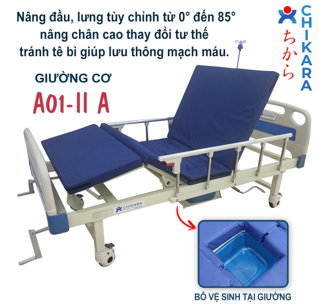 Tìm hiểu về giường bệnh nhân có bô vệ sinh cho người già