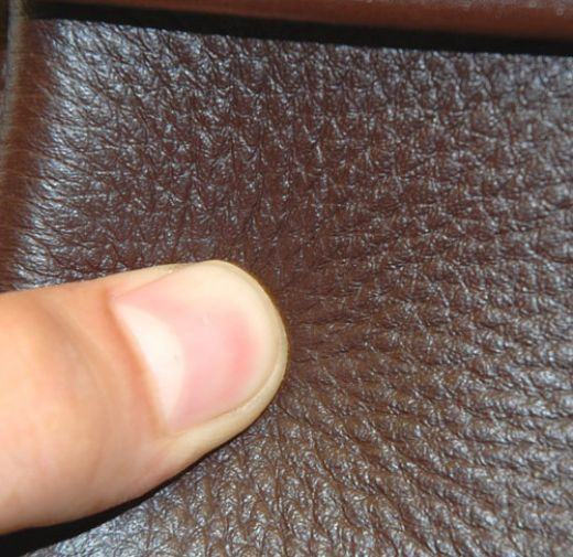 cach nhan biet vi da bo that