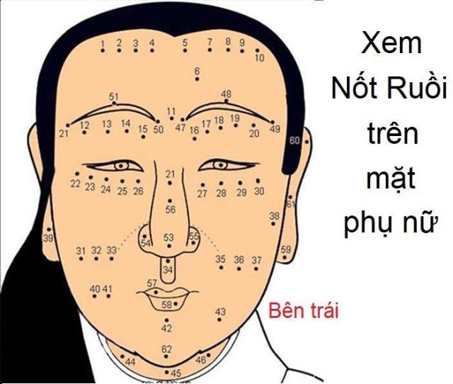 vi tri not ruoi tren mat nu