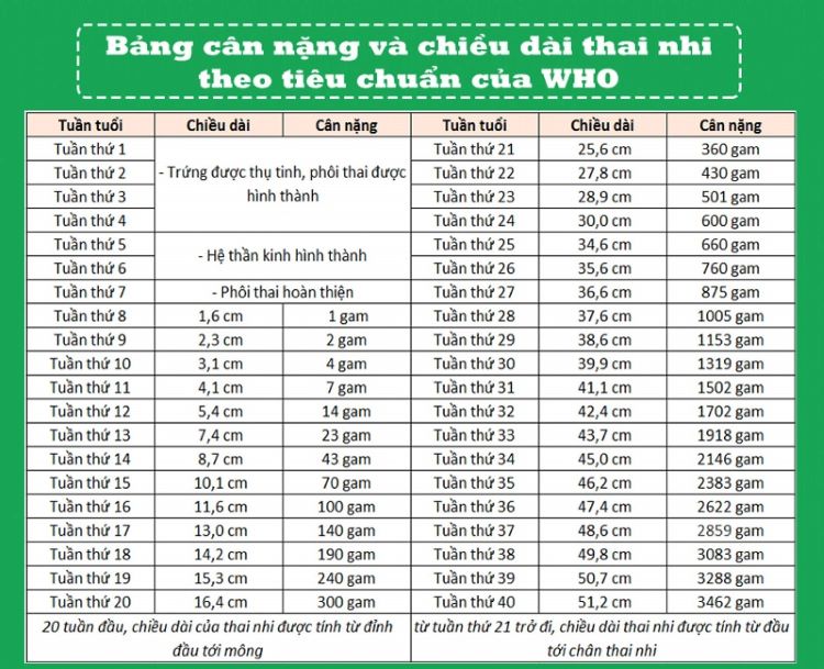 Bảng cân nặng thai nhi theo tuần
