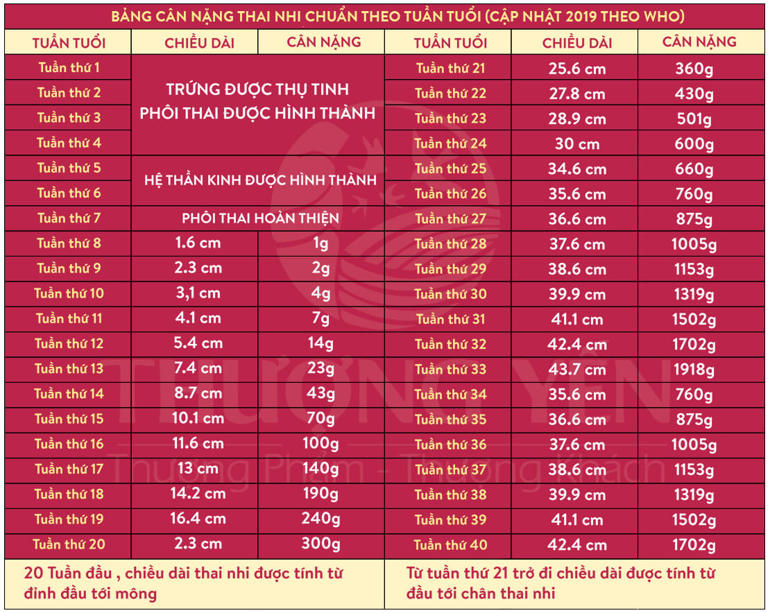 bảng cân nặng thai nhi