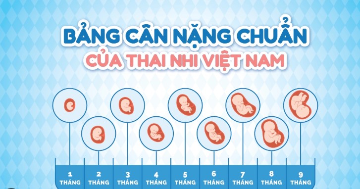 bảng cân nặng thai nhi