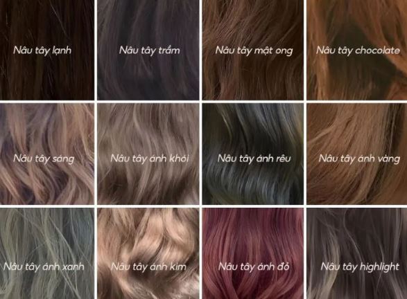 Bảng màu nhuộm tóc nâu tây