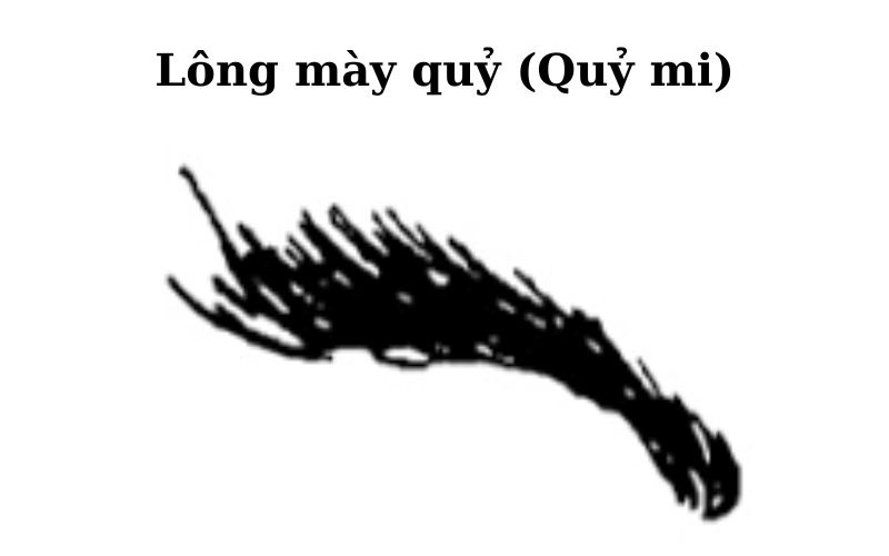 Lông mày quỷ