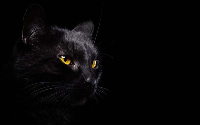 Cảm giác bất an và nguy hiểm