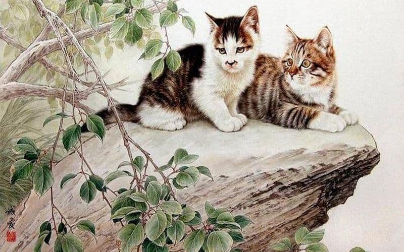 Sao hạn tuổi Mão cho nam mạng, nữ mạng chi tiết