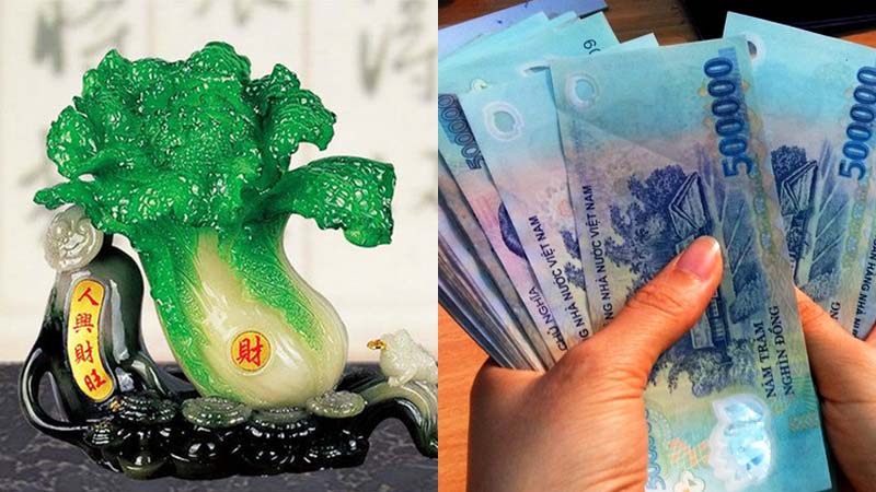 Nên đặt bắp cải phong thuỷ ở trị trí nào trong nhà?