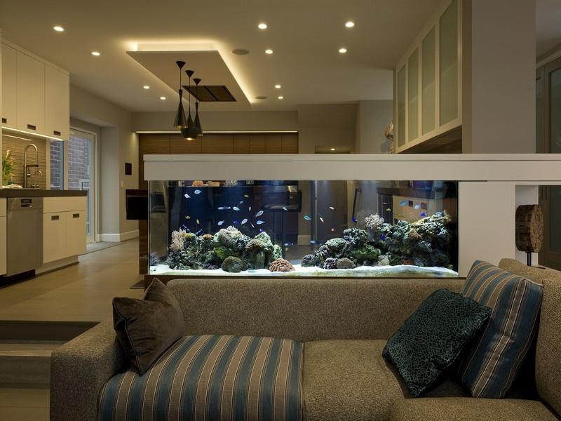 Phòng khách là vị trí hoàn hảo để đặt bể cá hợp phong thủy