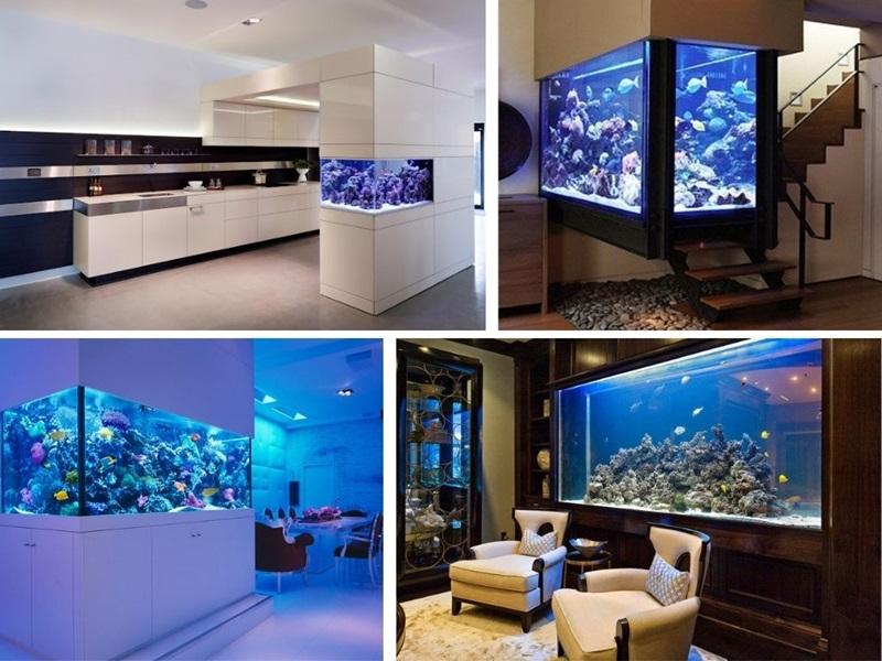 Những vị trí đặt bể cá mang lại xui xẻo