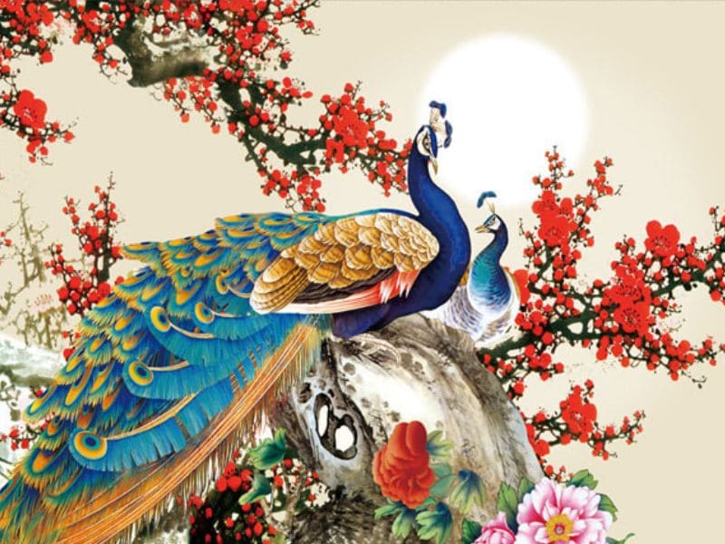 Bức tranh con công hợp với người tuổi nào?