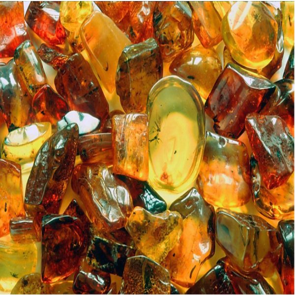 Hãy mang đá đến các trung tâm để kiểm định