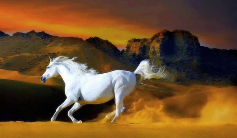 Con đường tình duyên của người sinh năm Canh Ngọ 1990