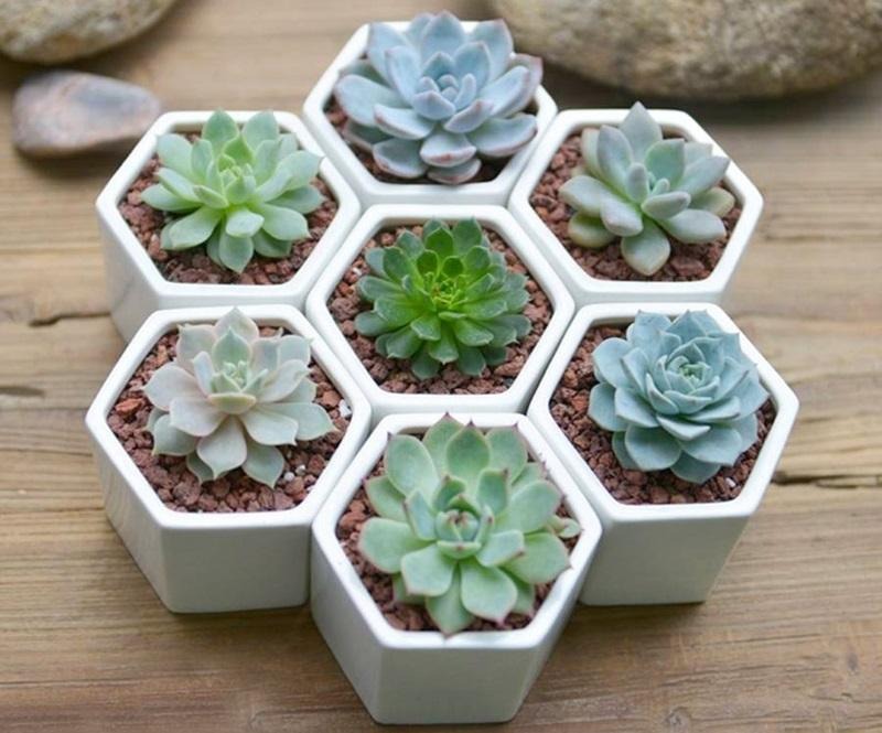 May mắn và tài lộc
