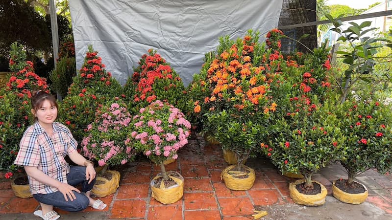 Chăm sóc cây không quá phức tạp nhưng cần phải chú ý vài điểm