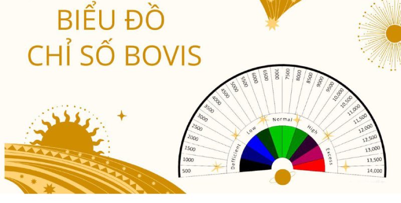 Hướng dẫn tính chỉ số Bovis để xác định năng lượng