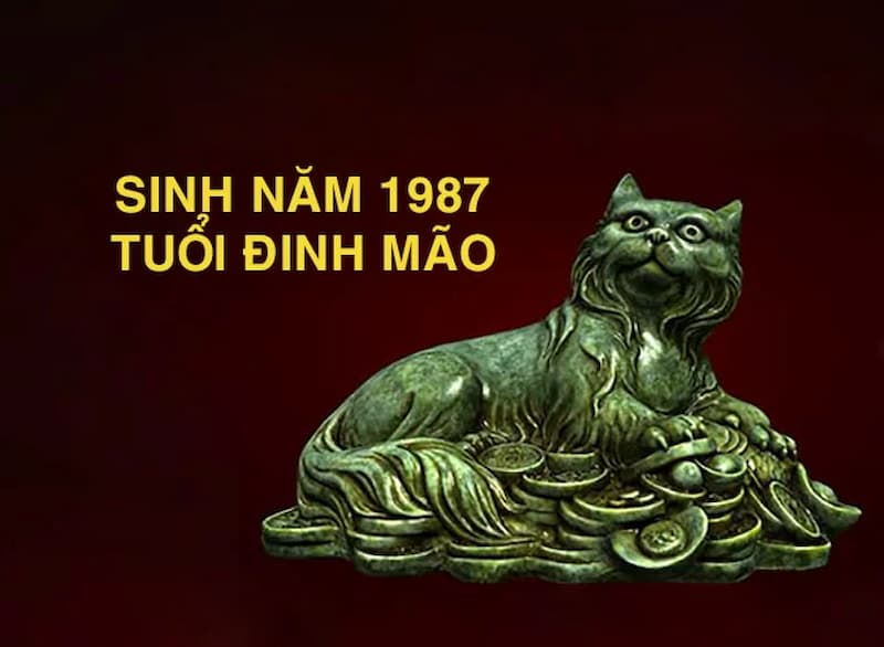 Đinh Mão 1987 hợp kết hôn với người tuổi nào?