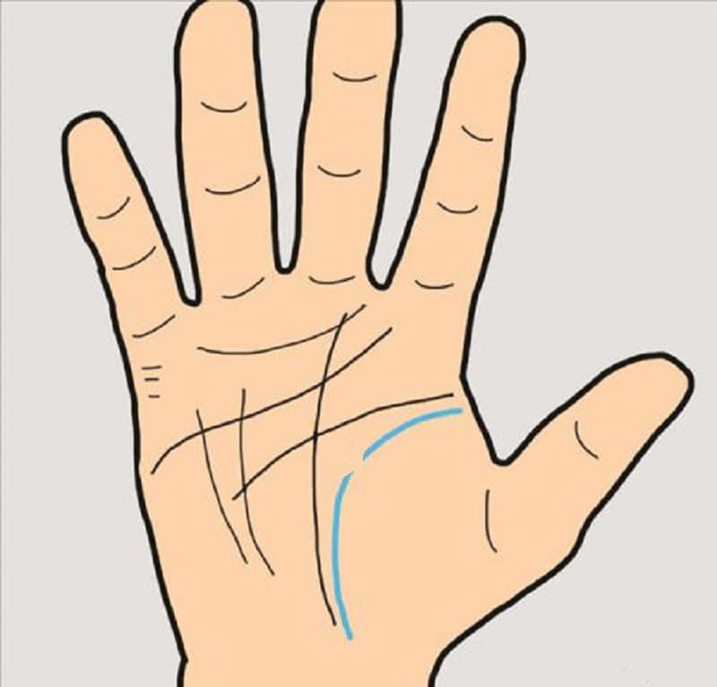 Đường sinh đạo tượng trưng cho sức khỏe, thay đổi trong cuộc đời con người