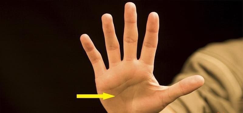 Dấu hiệu nhận biết đường sinh đạo rẽ nhánh rõ ràng