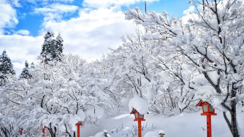 Ngày lạnh nhất rơi vào khoảng cuối tháng 1 đầu tháng 2 dương lịch trong năm