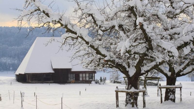 Tiết ngày đại hàn năm 2024 sẽ xuất hiện vào ngày 21 tháng 1 năm 2024 dương lịch