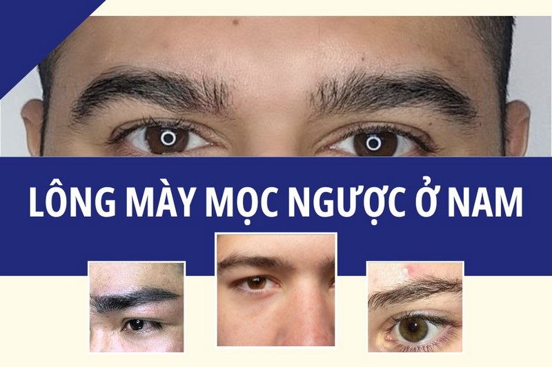 Đàn ông có lông mày này thường có tính cách nóng nảy