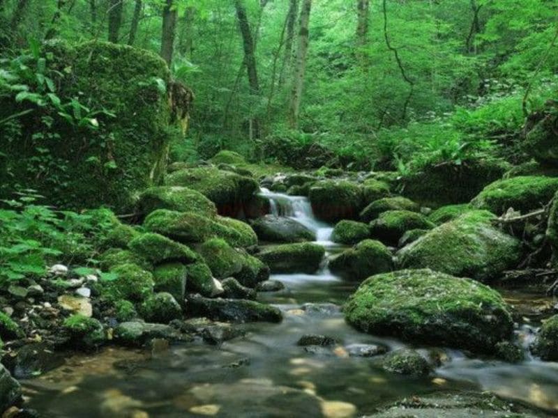 Khái quát tử vi của người thuộc mệnh Giản Hạ Thuỷ