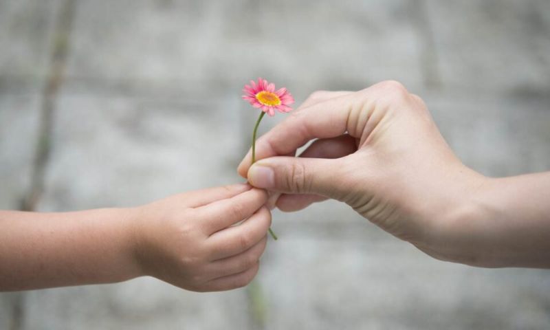 Dự đoán vận mệnh của đời người qua bàn tay