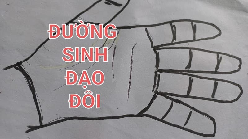 Bạn có hai đường sinh đạo là người kiên định, tính cách mạnh mẽ
