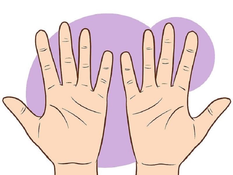 Có 3 kiểu hai đường sinh đạo thường gặp