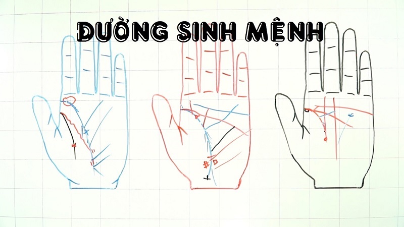 Đường thẳng thường cho thấy cuộc sống ổn định và ít gặp phải sóng gió