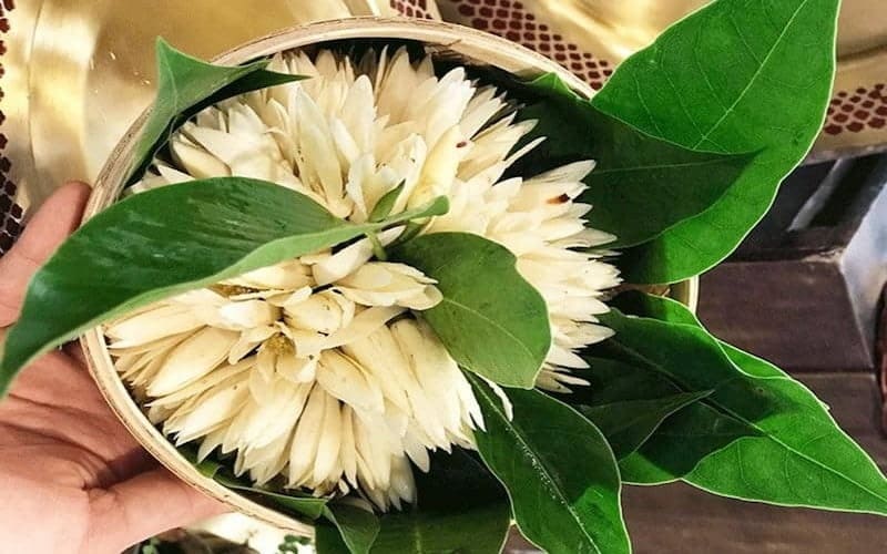 Ngọc lan được liên tưởng đến sự cao quý và thanh cao