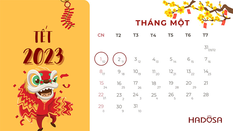 Lịch nghỉ Tết dương lịch 2023 của học sinh, sinh viên