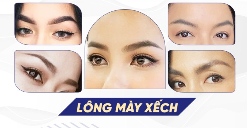 Tìm hiểu tổng quan về dáng chân mày xếch