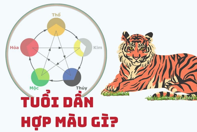 Phong thủy và những điều cần lưu ý cho người Mậu Dần 1998