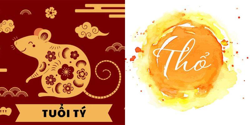 Màu sắc thích hợp với tuổi Tý