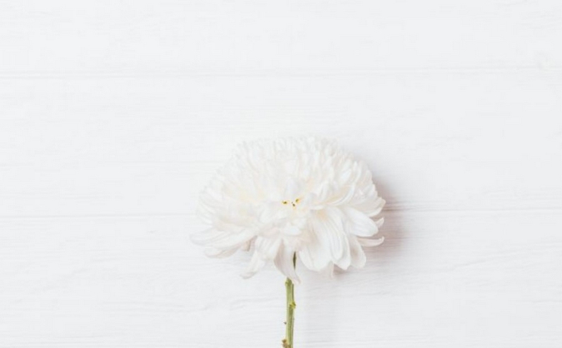 Nguồn gốc từ đâu hình thành nên màu trắng?