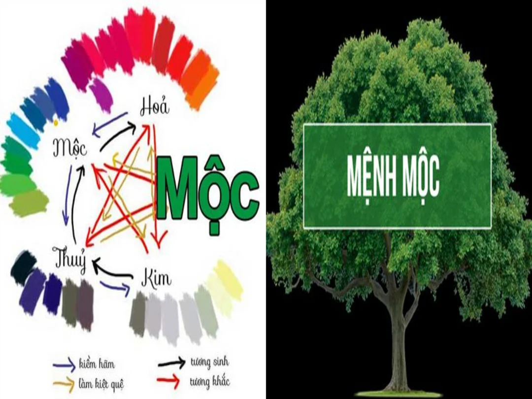 Mệnh Mộc kỵ màu gì? màu tương khắc cần tránh