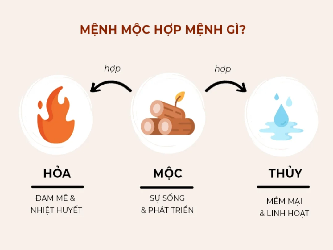 Mệnh Mộc hợp mệnh gì, đó chính là mệnh Thủy