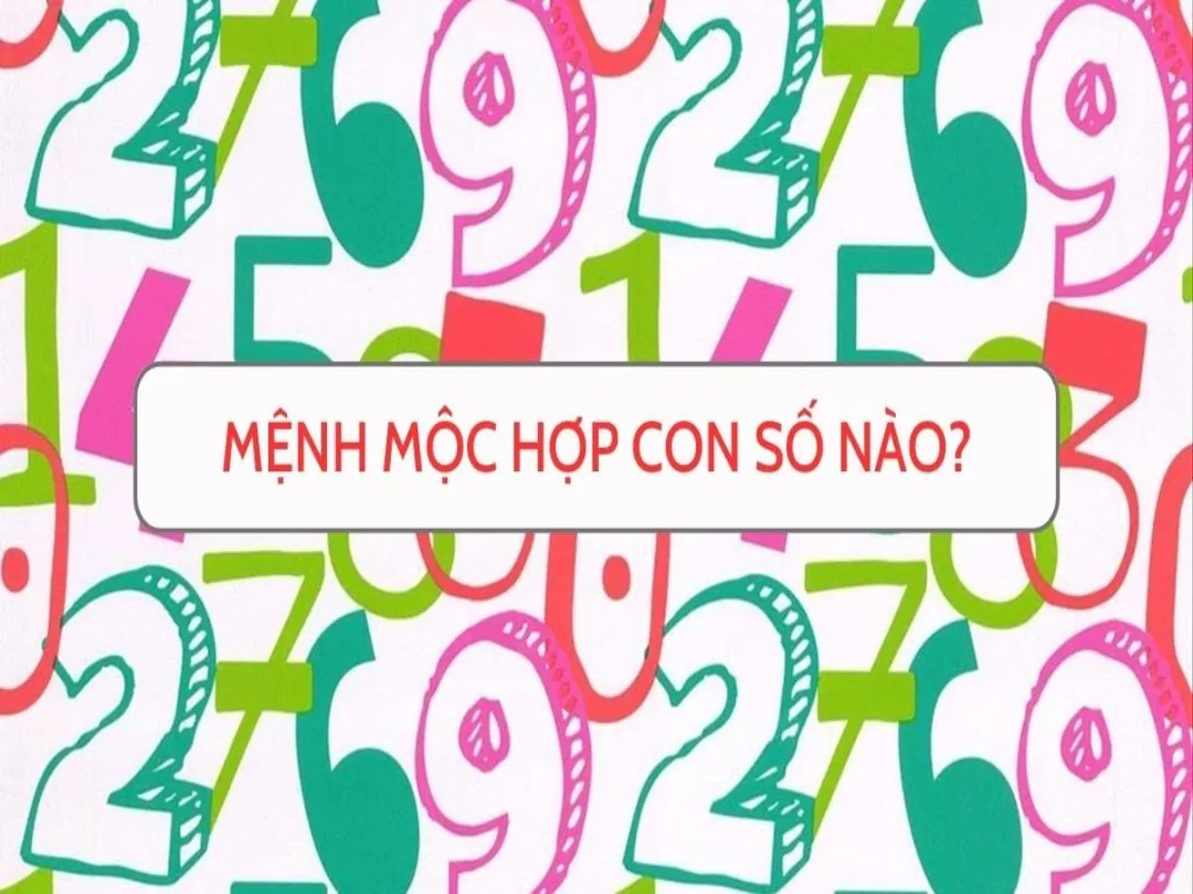 Các con số đặc biệt phù hợp với người mệnh Mộc bao gồm số 3 và số 4