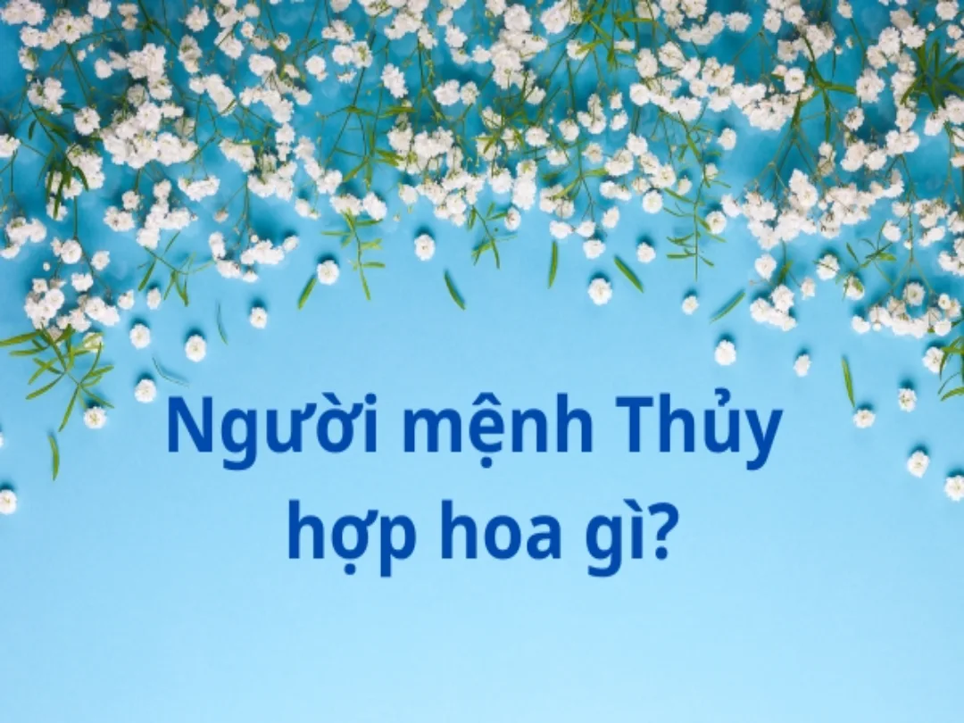 Người mệnh Thủy hợp với hoa màu gì?